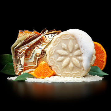 Viori Shampoo Review 2025 | Is This Shampoo Bar Better For Hair?